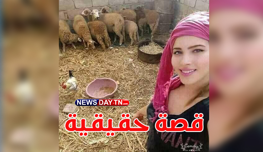 قصة-حقيقة