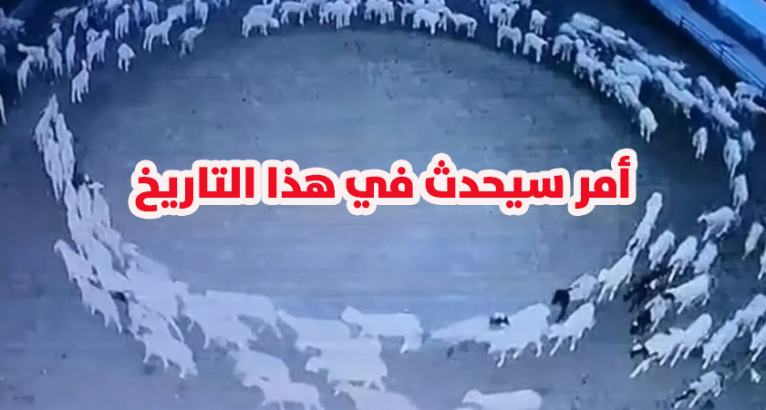 دوران القطيع حول نفسها
