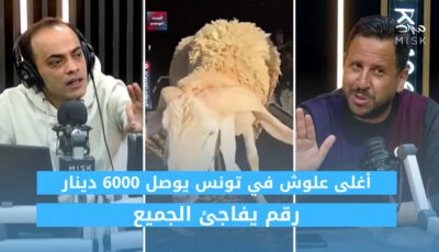 أمر لا يصدق الخروف ب 6000 دينار في تونس ( فيديو)