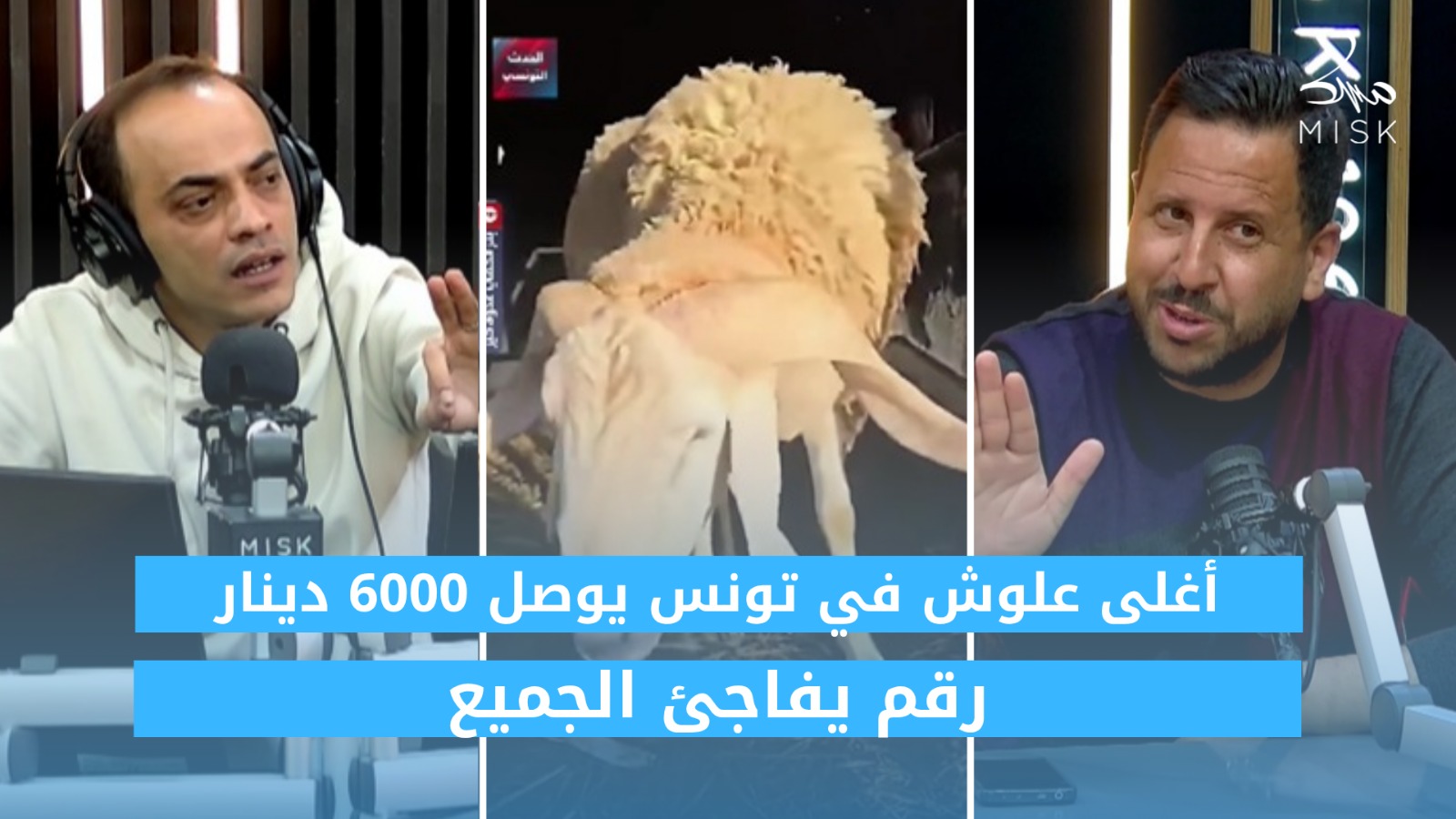 اغلى خروف في تونس