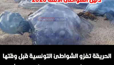 الحريقة تغزو الشواطئ التونسية قبل وقتها .. هذه الشواطئ الأقل خطرًا