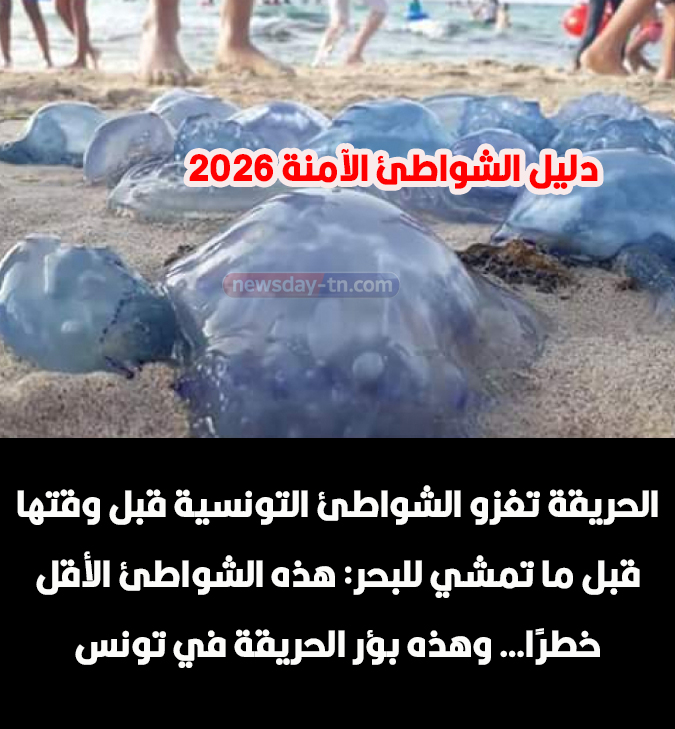 دليل الشواطئ الآمنة