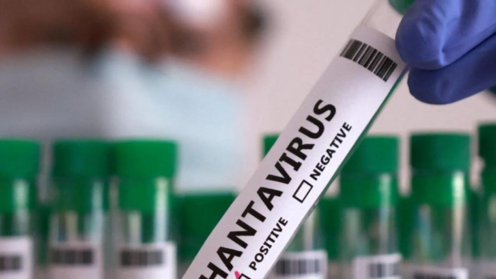 virus enta